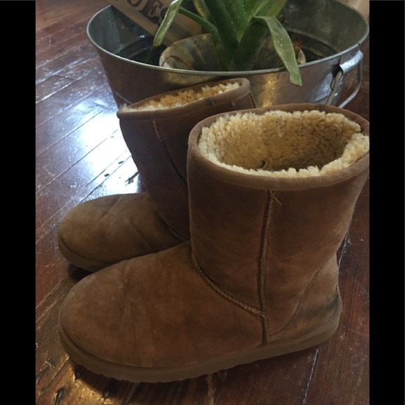 UGG Shoes - 📚 UGGS Boots